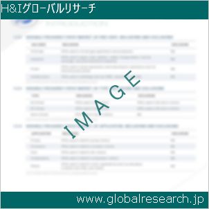 グローバルリサーチ調査レポートのイメージ
